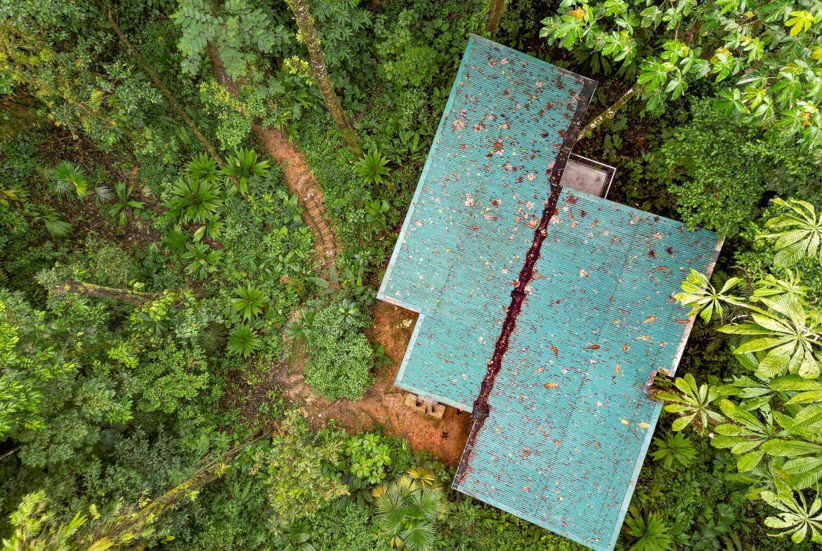 JUNGLE PROPERTY WITH THREE BEDROOM IN THE MIDDLE OF THE NATURE, IN PIEDRAS BLANCAS – 1.87 ACRES, Uvita, Costa Rica — photo 1
