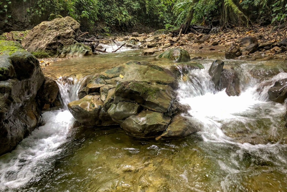 JUNGLE PROPERTY WITH THREE BEDROOM IN THE MIDDLE OF THE NATURE, IN PIEDRAS BLANCAS – 1.87 ACRES