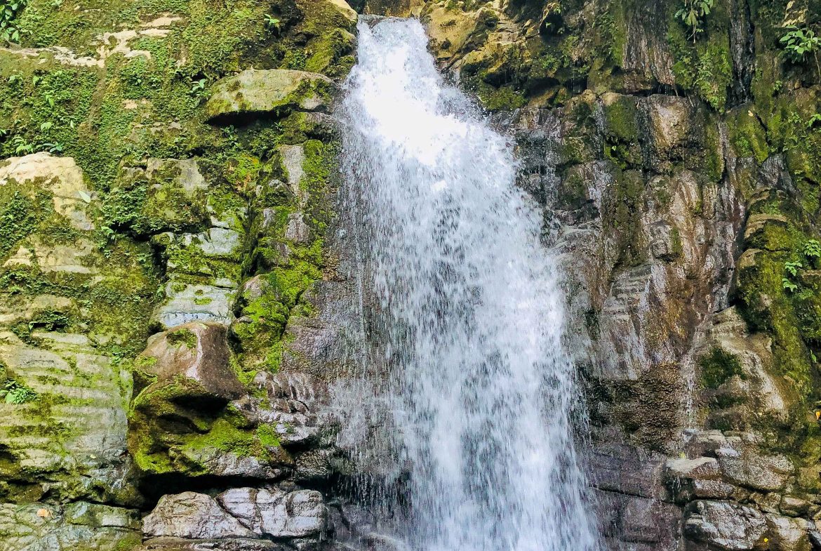 JUNGLE PROPERTY WITH THREE BEDROOM IN THE MIDDLE OF THE NATURE, IN PIEDRAS BLANCAS – 1.87 ACRES
