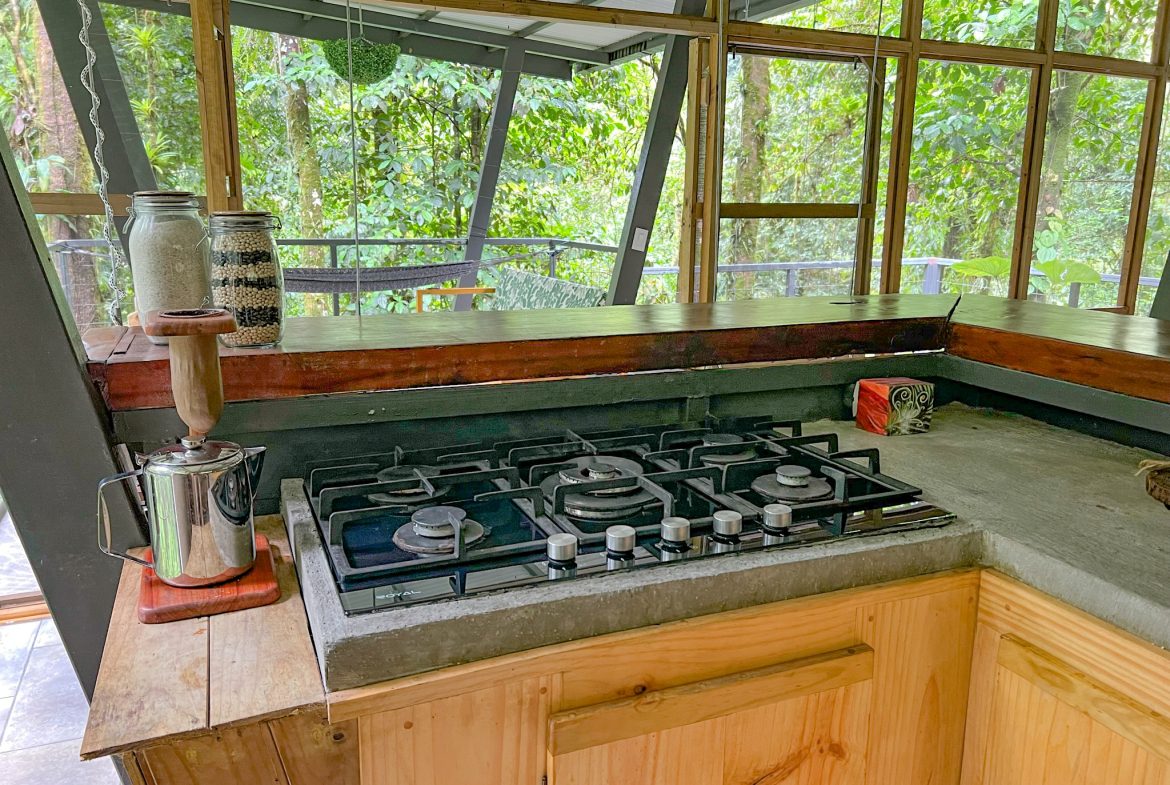 JUNGLE PROPERTY WITH THREE BEDROOM IN THE MIDDLE OF THE NATURE, IN PIEDRAS BLANCAS – 1.87 ACRES