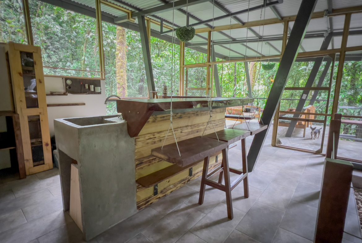 JUNGLE PROPERTY WITH THREE BEDROOM IN THE MIDDLE OF THE NATURE, IN PIEDRAS BLANCAS – 1.87 ACRES