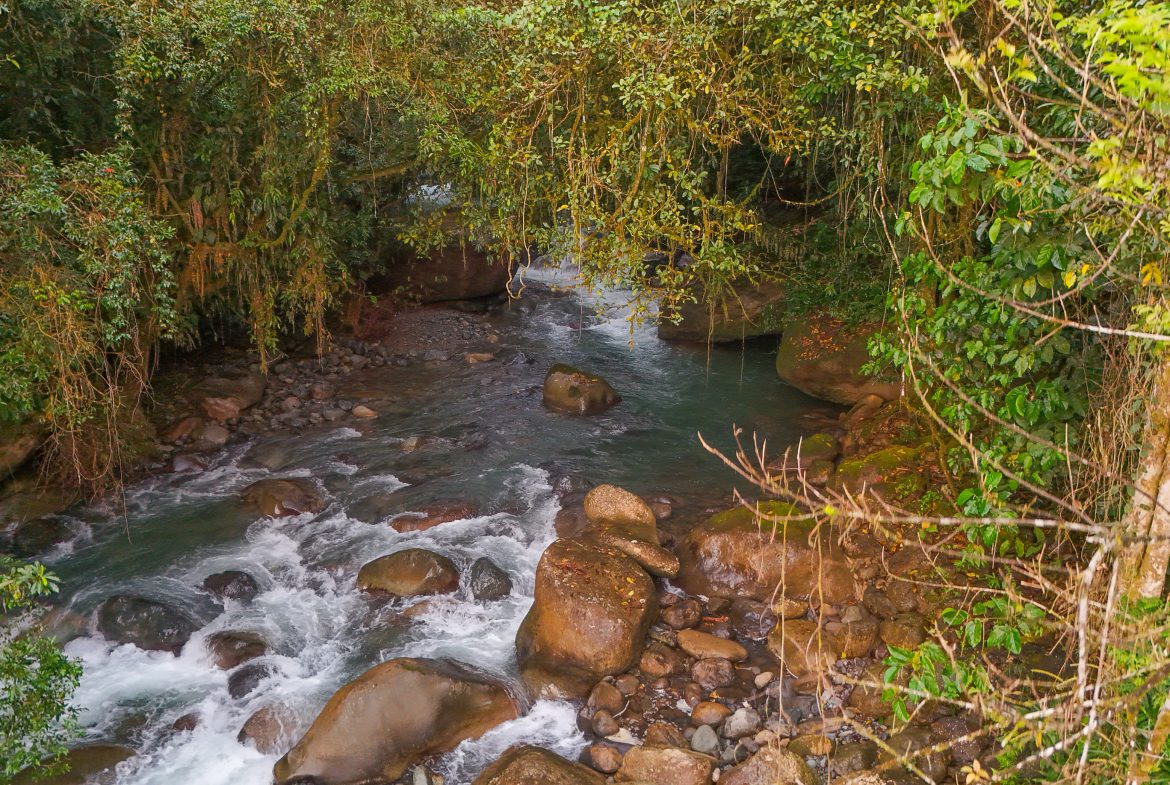 PROPERTY WITH ONE BEDROOM WITH BEAUTIFUL VIEWS OF THE NATURE, IN QUIZARRA PEREZ ZELEDON – 4.5 ACRES