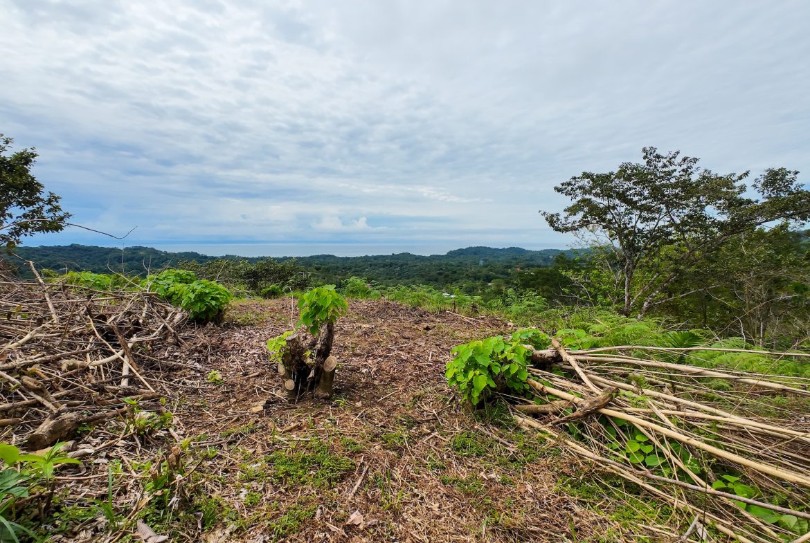 BUILDING PROPERTY WITH PARTIAL OCEAN VIEWS, IN OJOCHAL – 0.80 ACRES