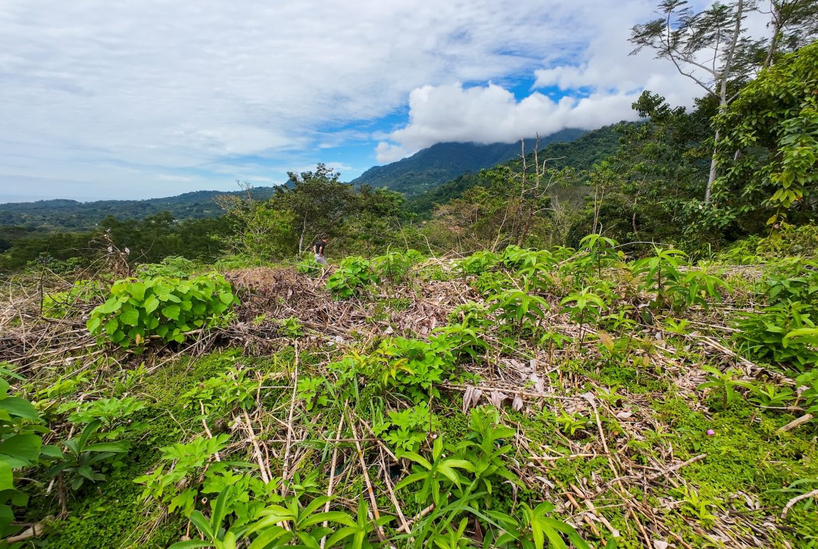 BUILDING PROPERTY WITH PARTIAL OCEAN VIEWS, IN OJOCHAL – 0.80 ACRES