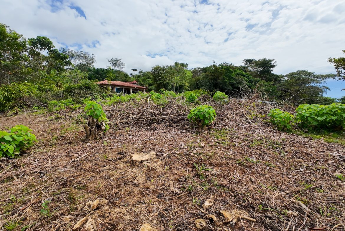 BUILDING PROPERTY WITH PARTIAL OCEAN VIEWS, IN OJOCHAL – 0.80 ACRES
