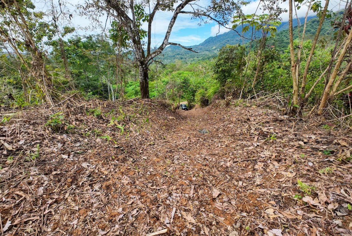 BUILDING PROPERTY WITH PARTIAL OCEAN VIEWS, IN OJOCHAL – 0.80 ACRES