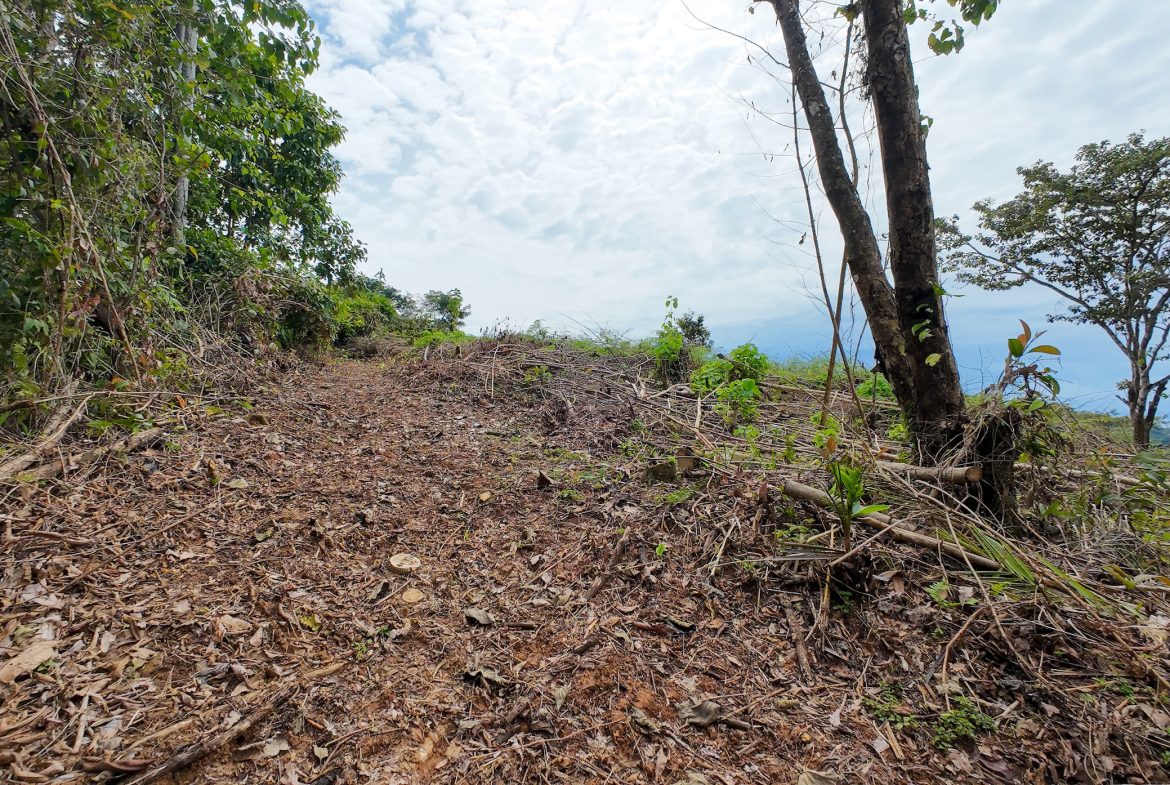 BUILDING PROPERTY WITH PARTIAL OCEAN VIEWS, IN OJOCHAL – 0.80 ACRES