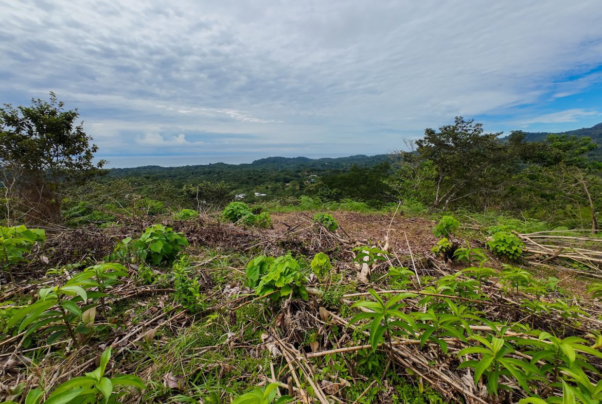 RESIDENCE WITH ADDITIONAL LAND: A UNIQUE OPPORTUNITY, IN OJOCHAL – 1.45 ACRES