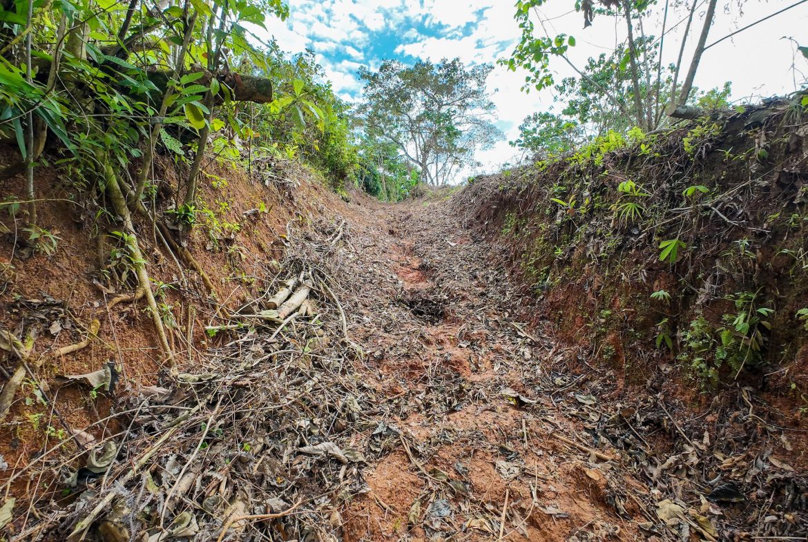 RESIDENCE WITH ADDITIONAL LAND: A UNIQUE OPPORTUNITY, IN OJOCHAL – 1.45 ACRES