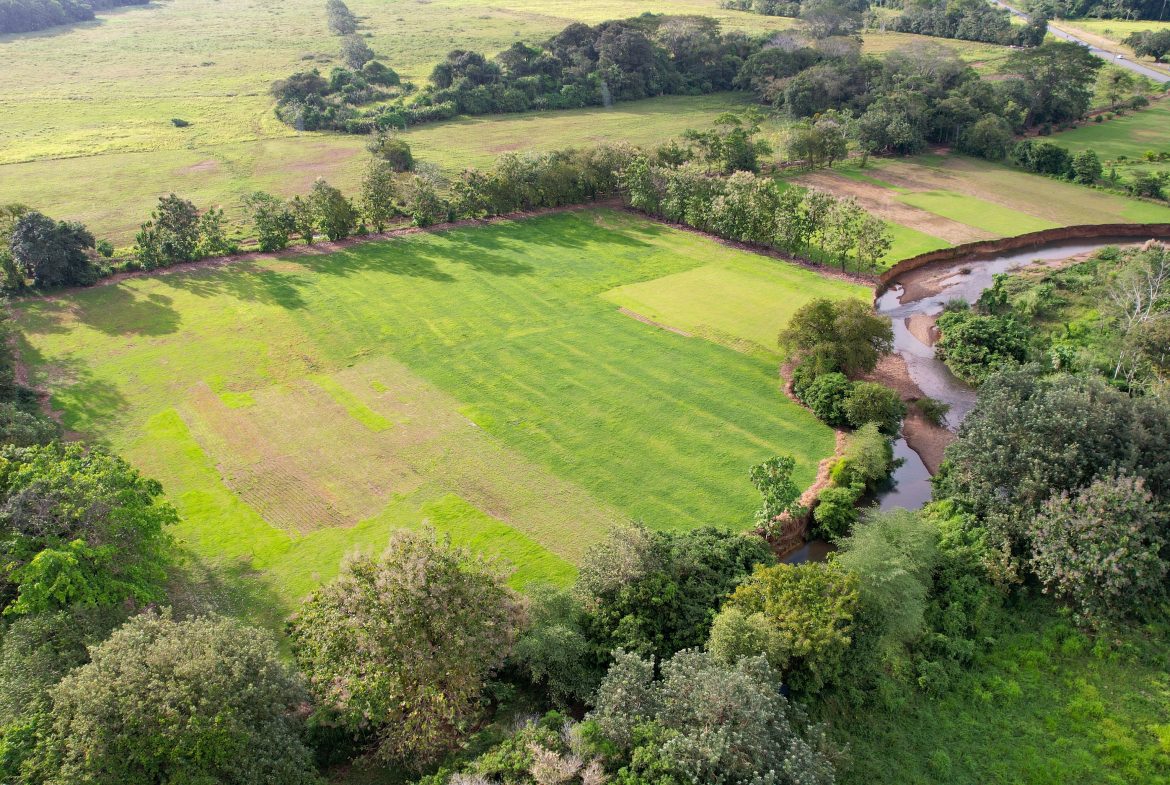 DEVELOPMENT PROPERTY WITH PUBLIC ROAD IN FRONT, IN HATILLO – 23 ACRES