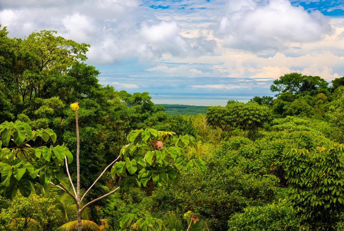 JUNGLE PROPERTY WITH A CASCADE, IN TRES RIOS – 2.22 ACRES