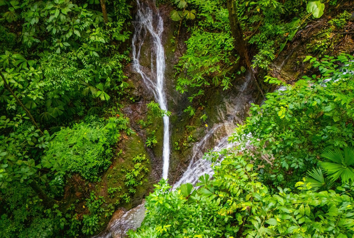 JUNGLE PROPERTY WITH A CASCADE, IN TRES RIOS – 2.22 ACRES