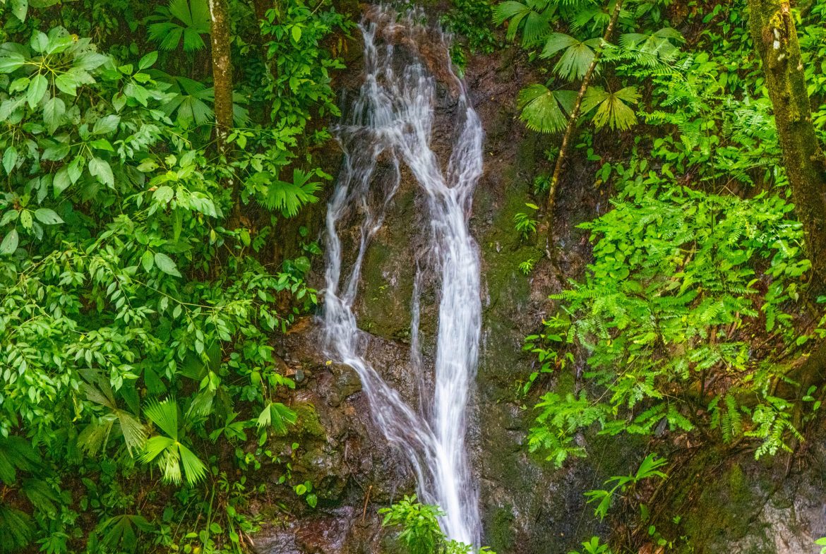 JUNGLE PROPERTY WITH A CASCADE, IN TRES RIOS – 2.22 ACRES
