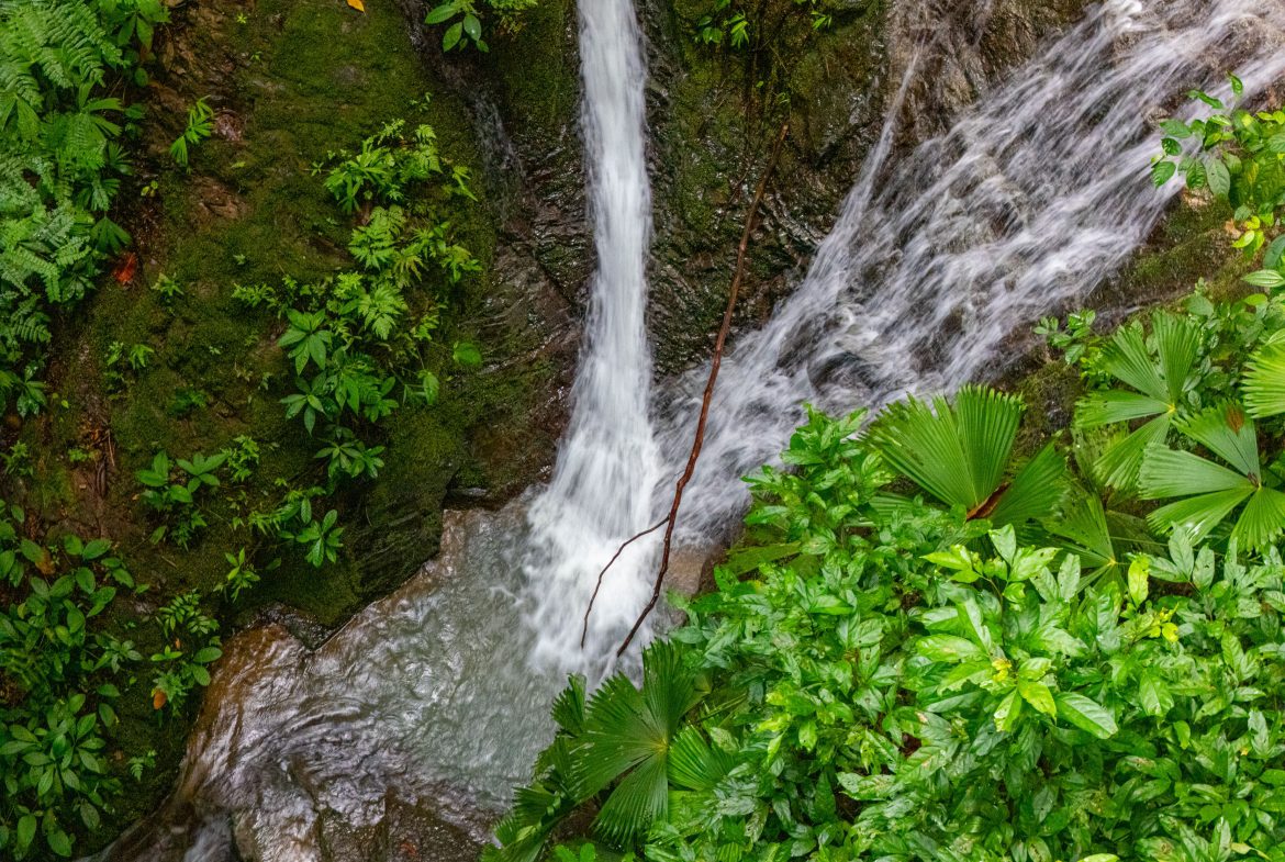 JUNGLE PROPERTY WITH A CASCADE, IN TRES RIOS – 2.22 ACRES