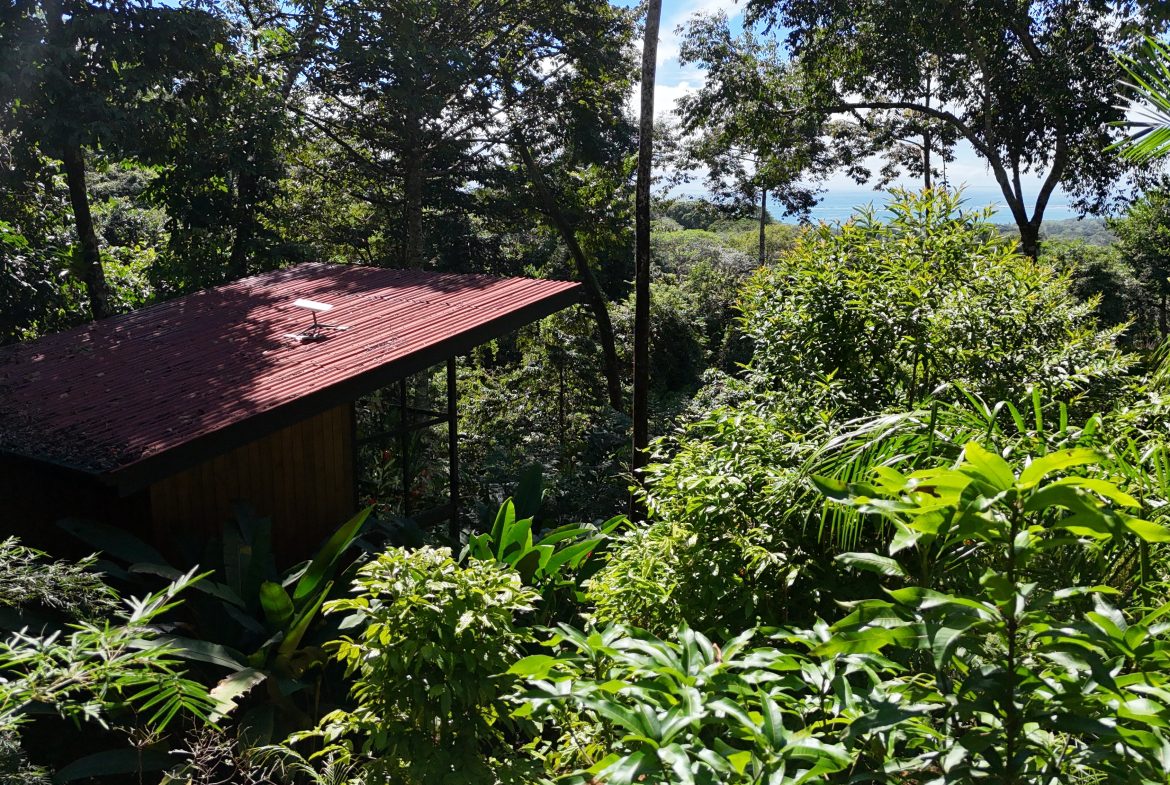 PROPERTY WITH ONE BEDROOM WITH OCEAN VIEWS, IN LAS BRISAS COLONIA – 1.7 ACRES, Uvita, Costa Rica — photo 7