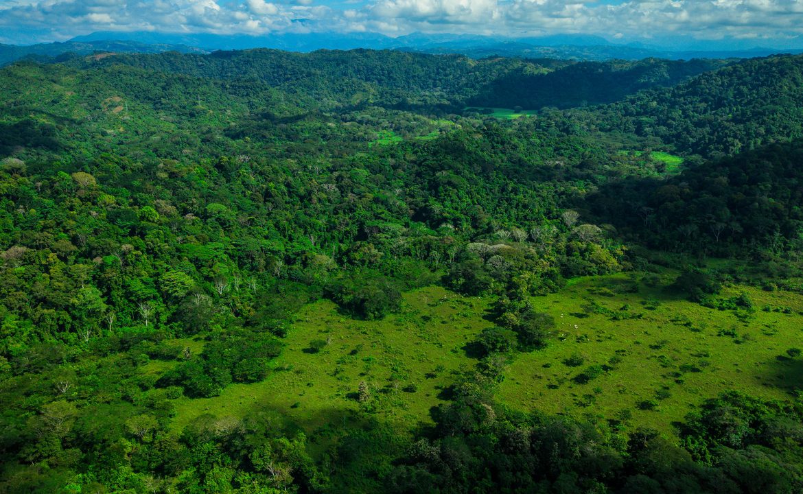 RANCHO LEGACY OCEANFRONT: 4,850 ACRES IN ESTERILLOS