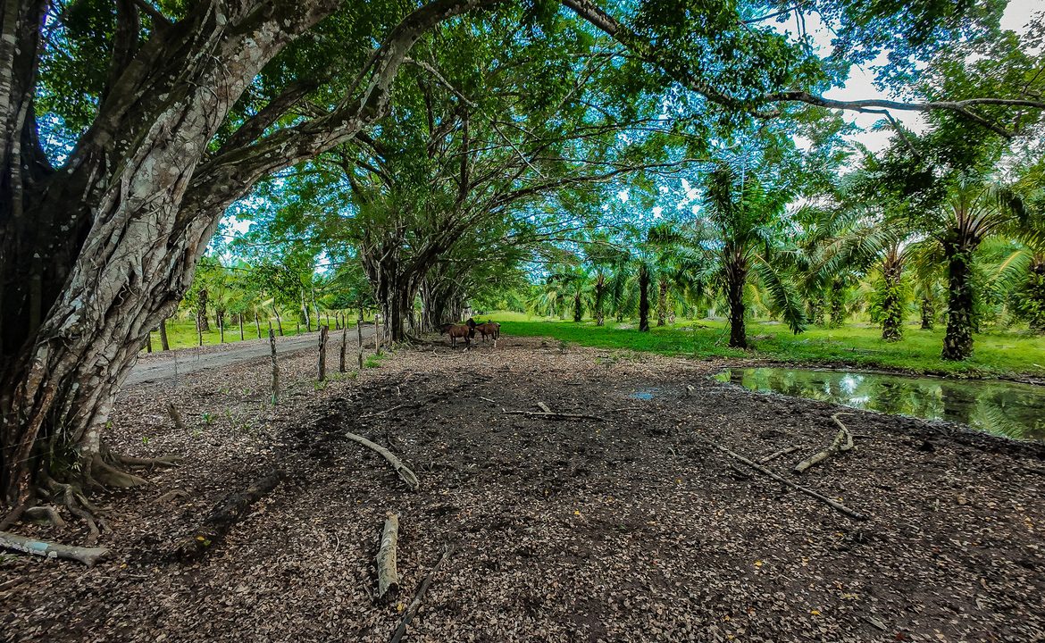 RANCHO LEGACY OCEANFRONT: 4,850 ACRES IN ESTERILLOS
