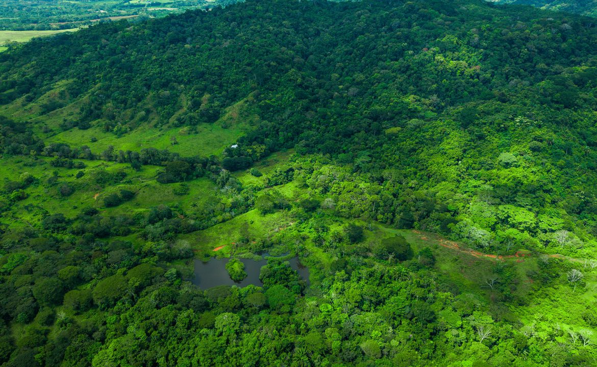 RANCHO LEGACY OCEANFRONT: 4,850 ACRES IN ESTERILLOS