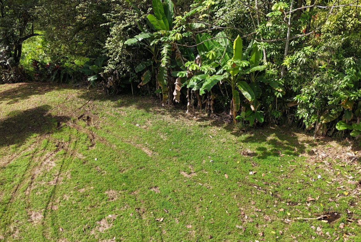 BUILDING PROPERTY READY TO BUILD, IN OJOCHAL – 0.19 ACRES