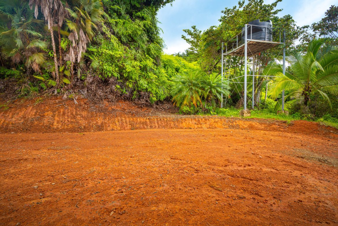 JUNGLE PROPERTY WITH A CASCADE, IN TRES RIOS – 2.22 ACRES