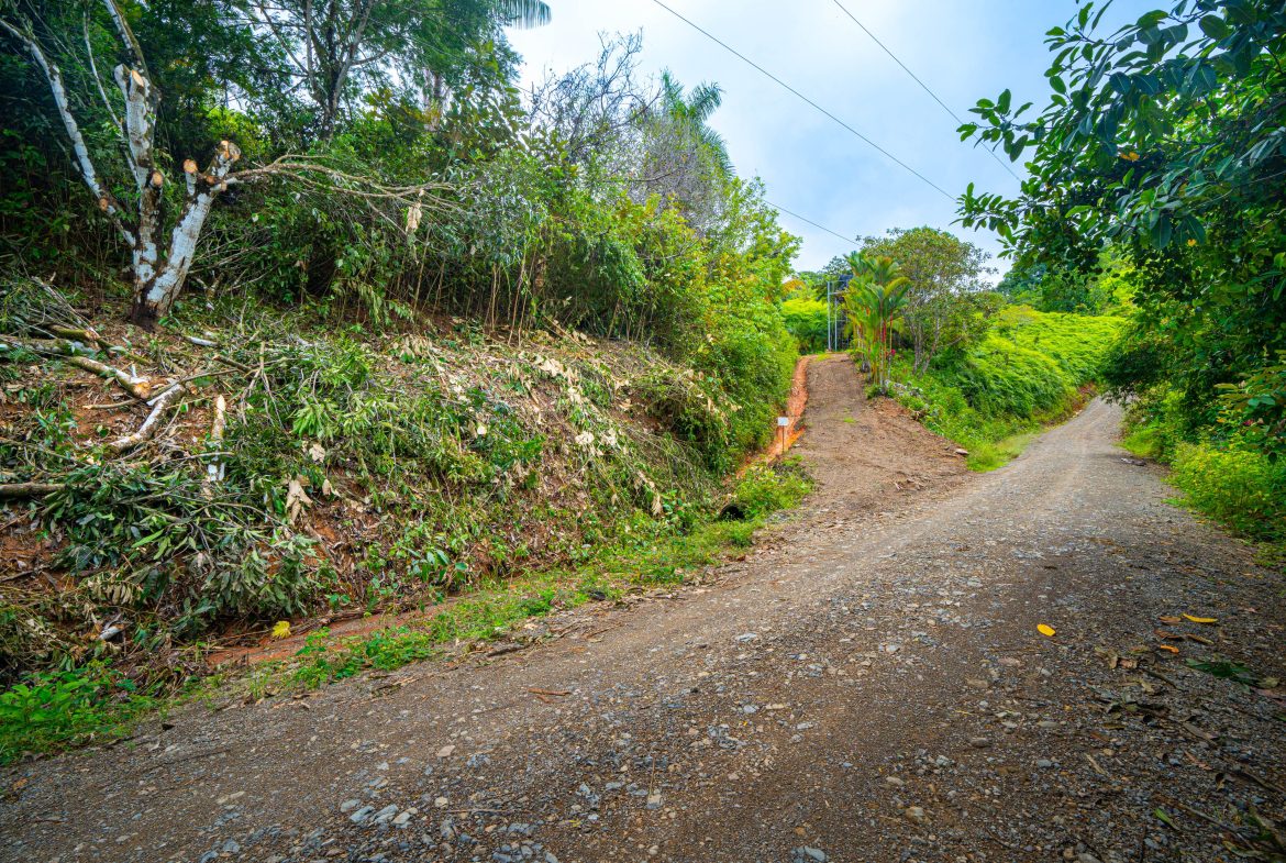 JUNGLE PROPERTY WITH A CASCADE, IN TRES RIOS – 2.22 ACRES