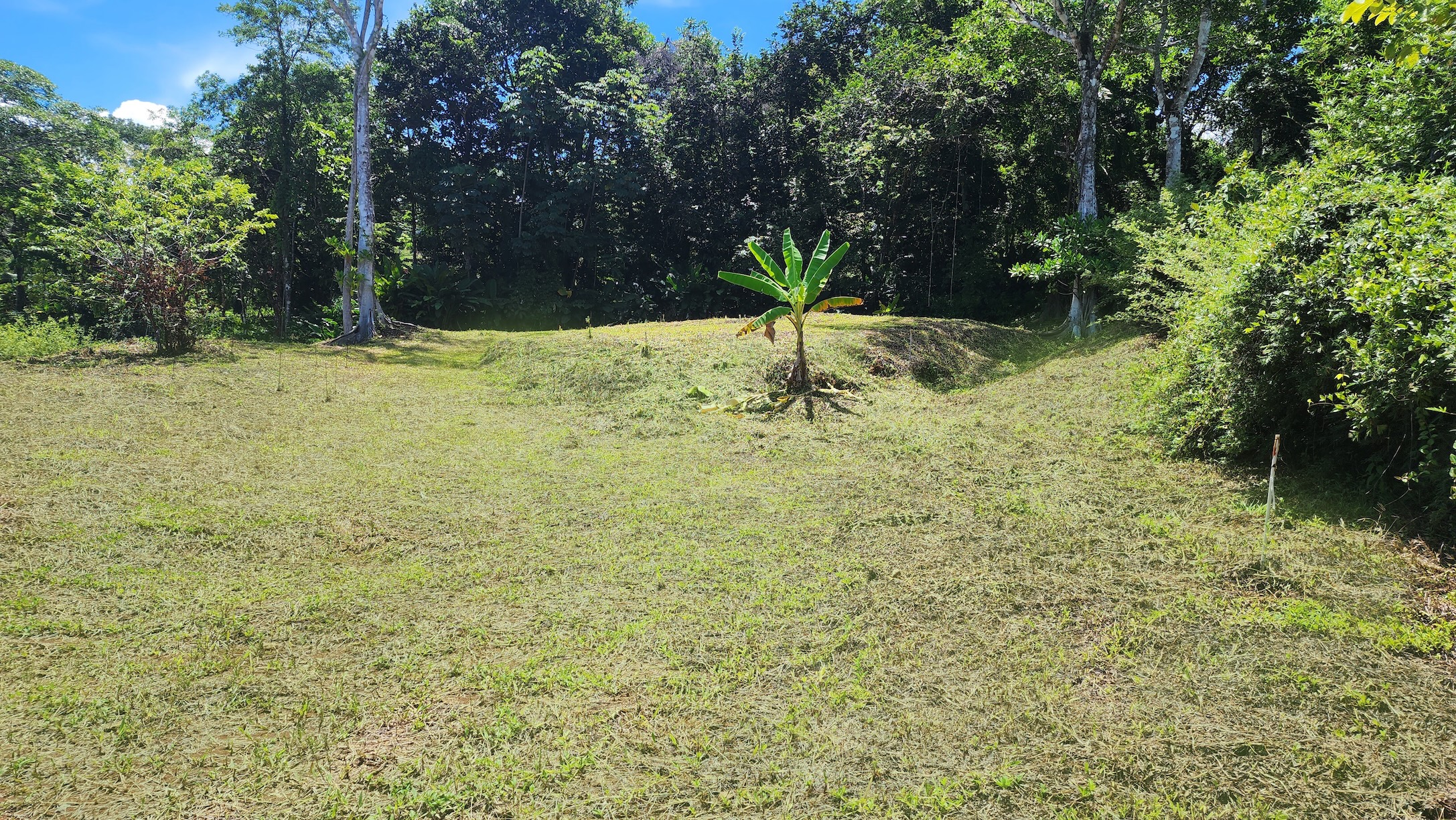 Dulce Pacifico 28 – 04