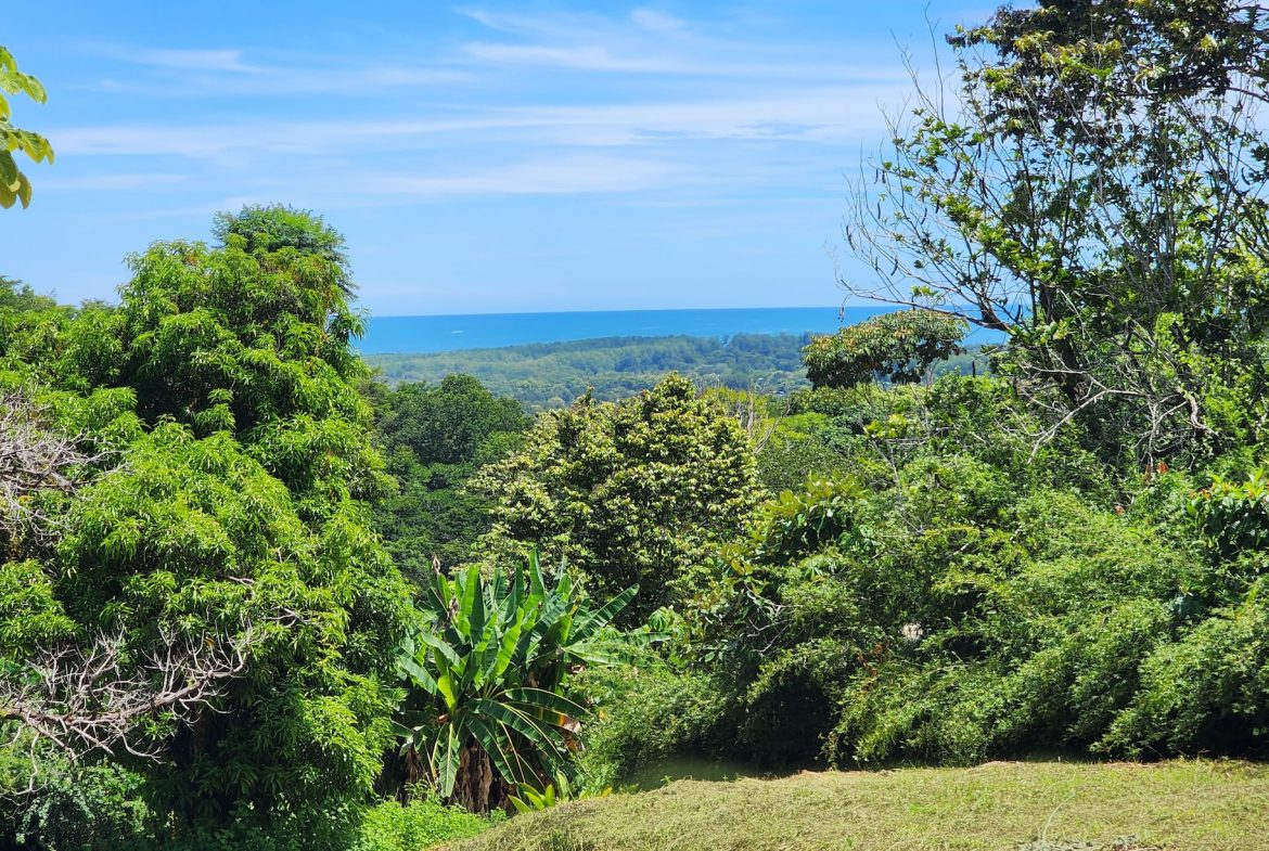 BUILDING PROPERTY WITH BEACH VIEWS IN LA COLONIA – 1.25 ACRES