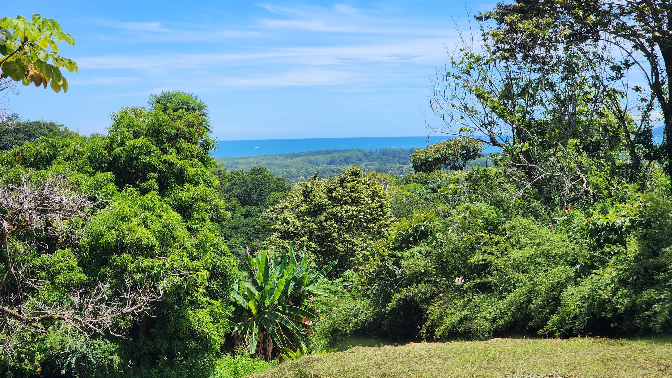 Dulce Pacifico 28 – 06