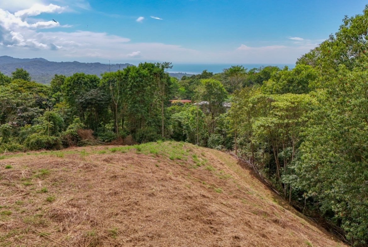 BUILDING PROPERTY WITH PARTIAL OCEAN VIEWS, IN OJOCHAL – 3.12 ACRES