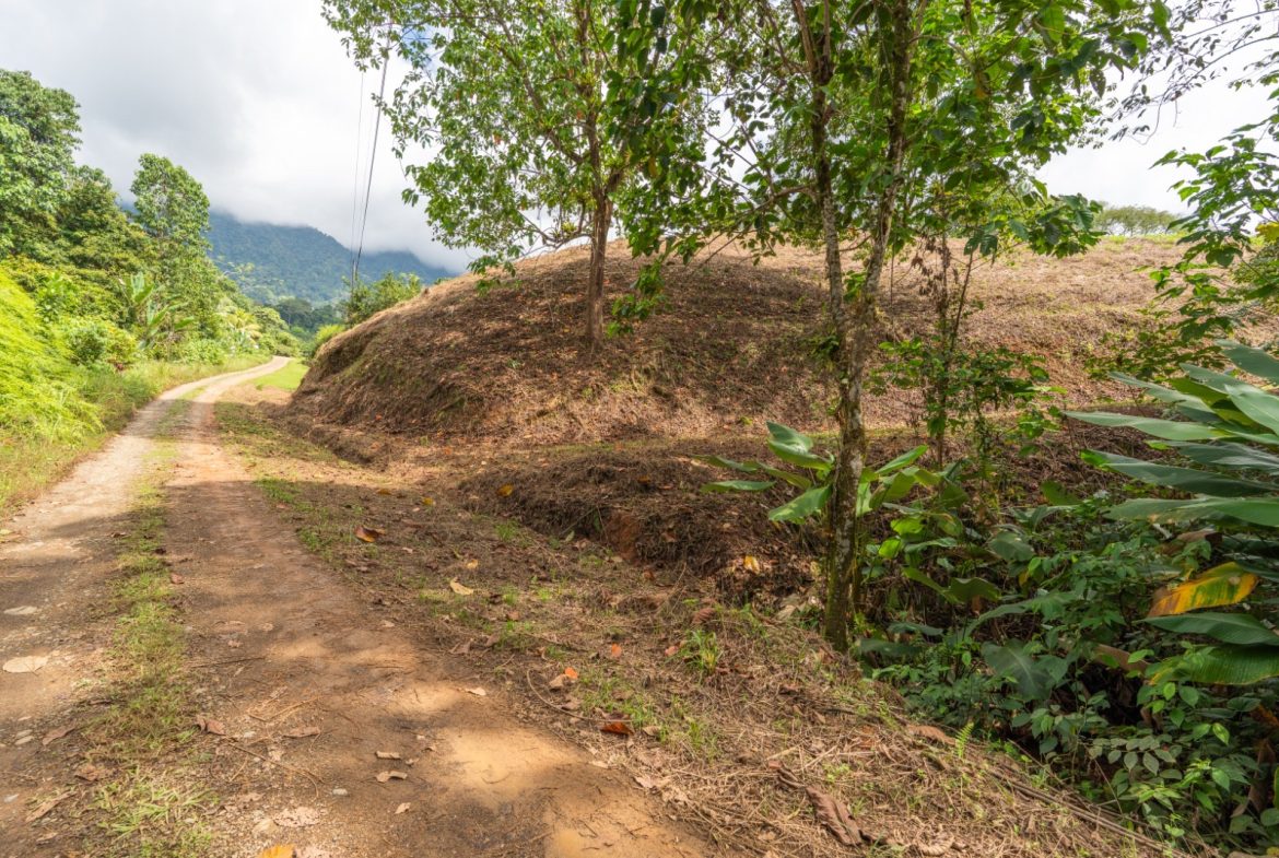 BUILDING PROPERTY WITH PARTIAL OCEAN VIEWS, IN OJOCHAL – 3.12 ACRES