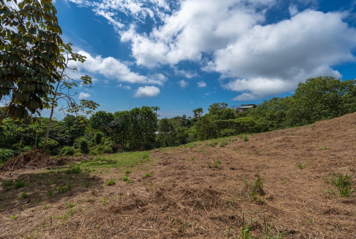 BUILDING PROPERTY WITH PARTIAL OCEAN VIEWS, IN OJOCHAL – 3.12 ACRES