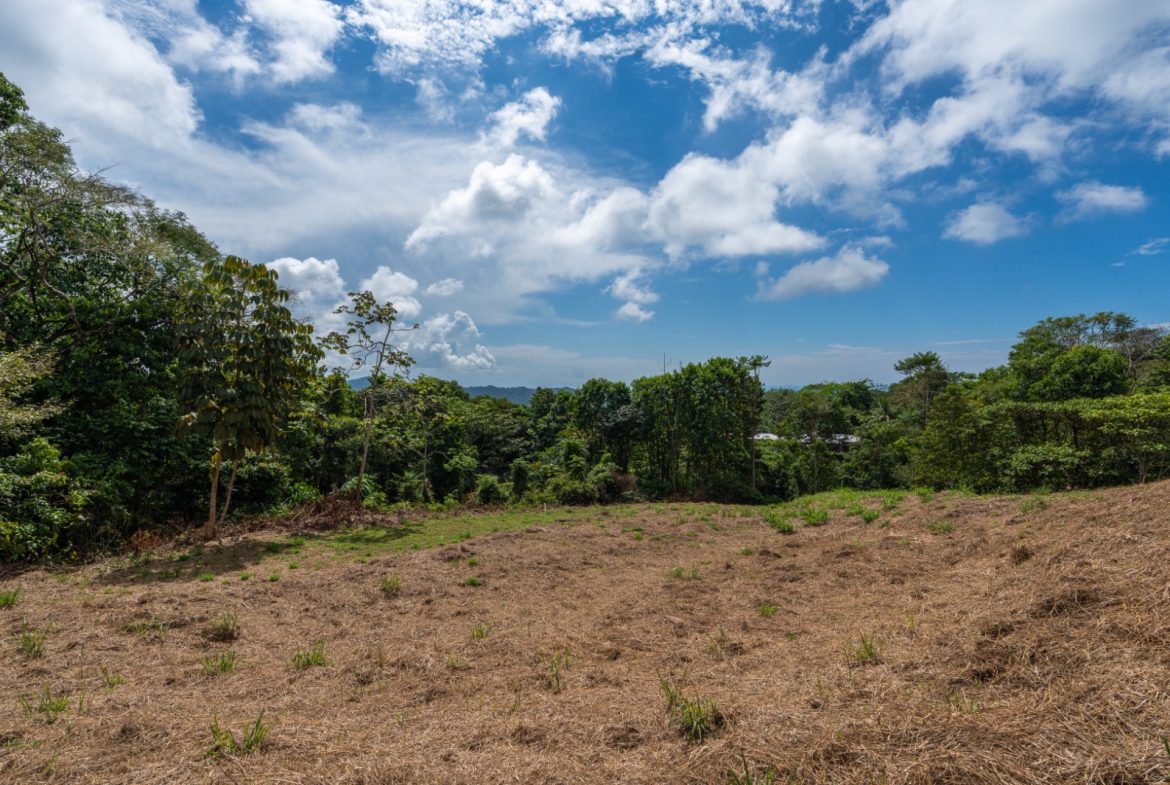 BUILDING PROPERTY WITH PARTIAL OCEAN VIEWS, IN OJOCHAL – 3.12 ACRES
