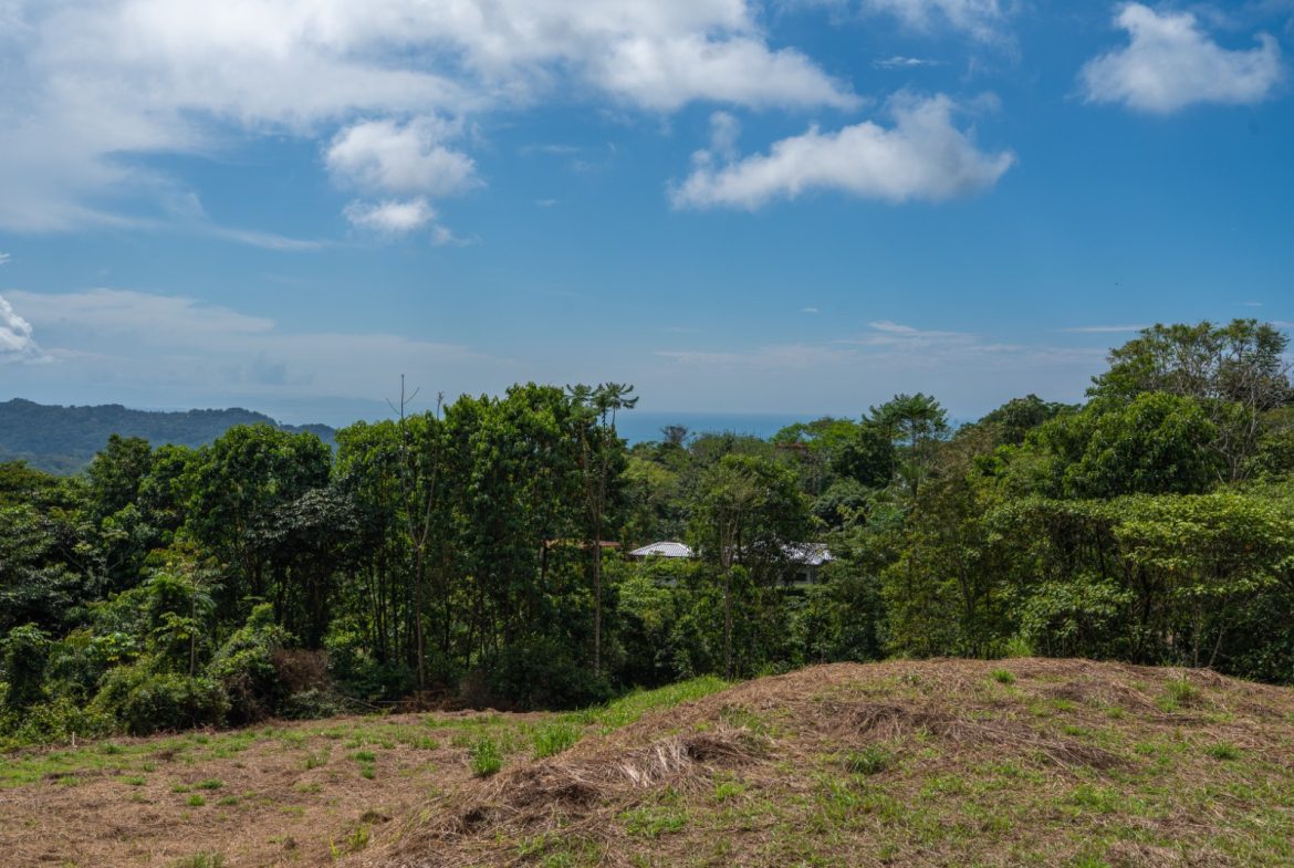 BUILDING PROPERTY WITH PARTIAL OCEAN VIEWS, IN OJOCHAL – 3.12 ACRES