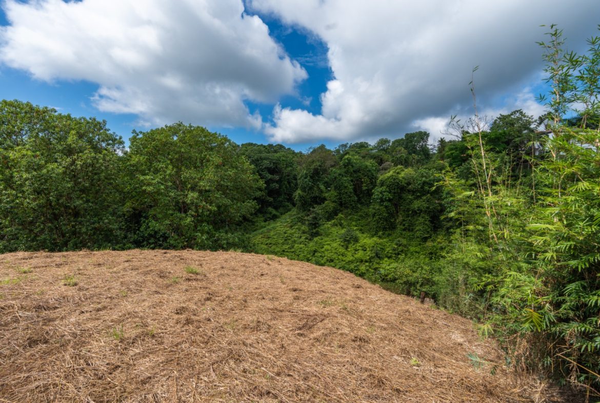 BUILDING PROPERTY WITH PARTIAL OCEAN VIEWS, IN OJOCHAL – 3.12 ACRES