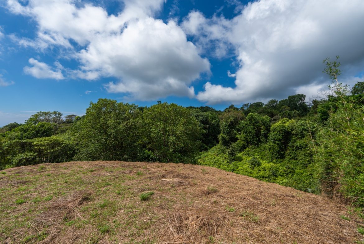 BUILDING PROPERTY WITH PARTIAL OCEAN VIEWS, IN OJOCHAL – 3.12 ACRES