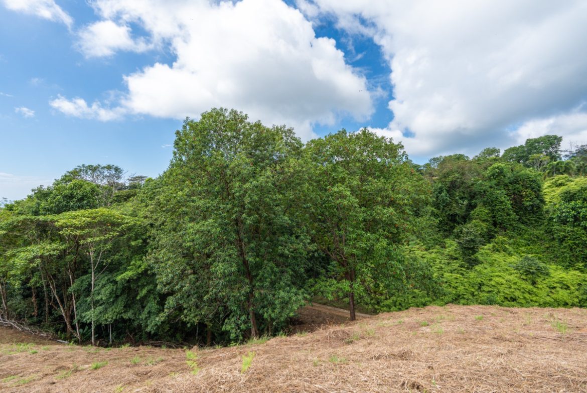 BUILDING PROPERTY WITH PARTIAL OCEAN VIEWS, IN OJOCHAL – 3.12 ACRES