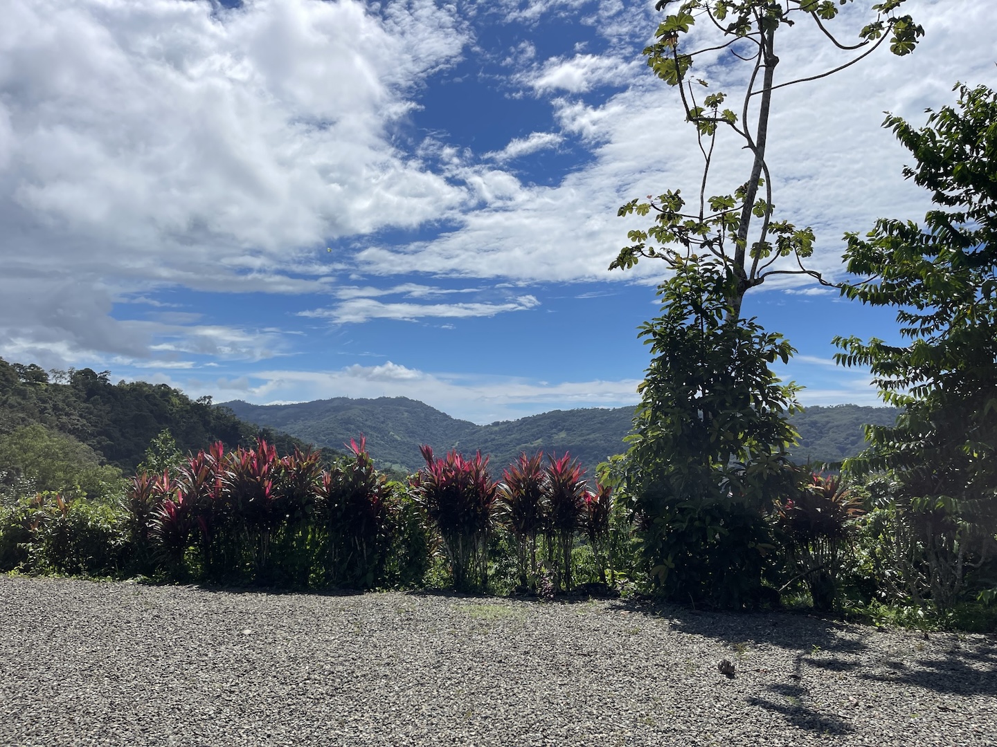 MOUNTAIN PROPERTY WITH A GUEST HOUSE, IN PLATANILLO – 5.2 ACRES