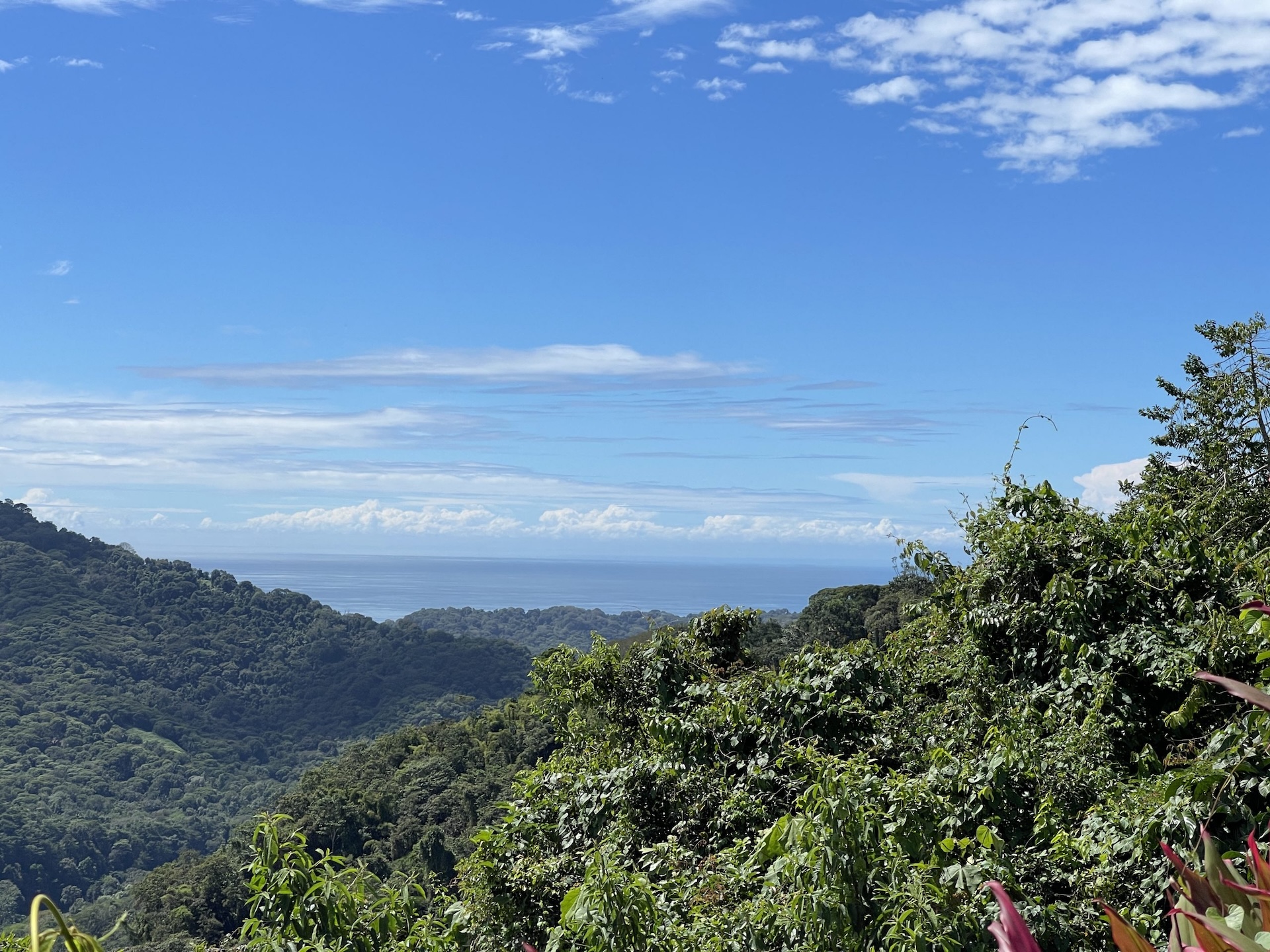 MOUNTAIN PROPERTY WITH A GUEST HOUSE, IN PLATANILLO – 5.2 ACRES