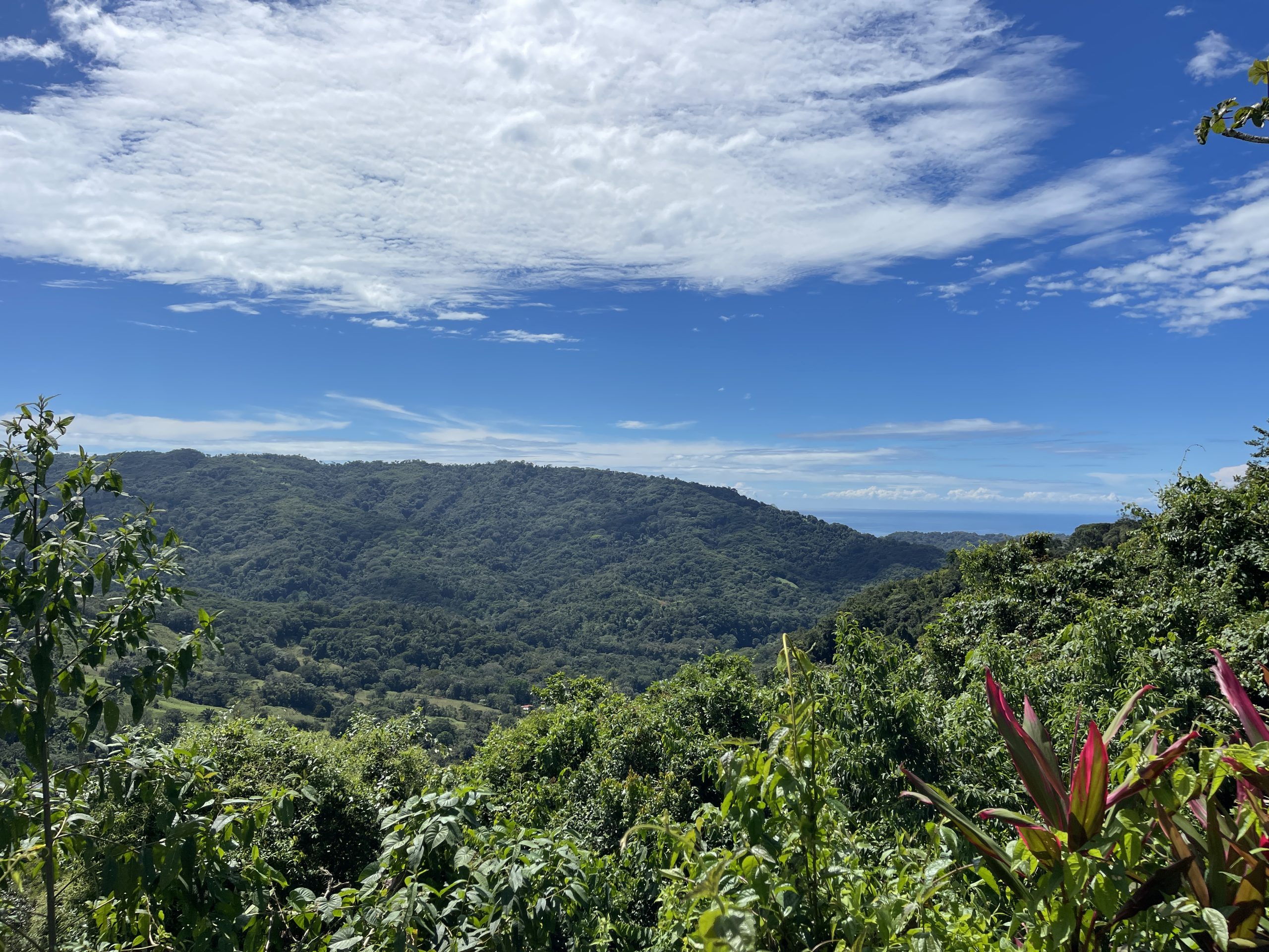MOUNTAIN PROPERTY WITH A GUEST HOUSE, IN PLATANILLO – 5.2 ACRES