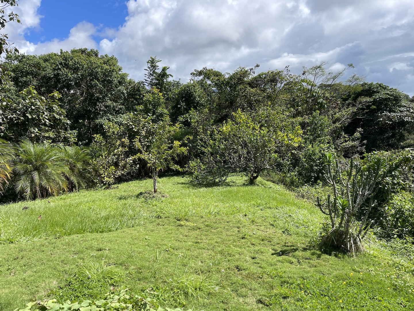 MOUNTAIN PROPERTY WITH A GUEST HOUSE, IN PLATANILLO – 5.2 ACRES