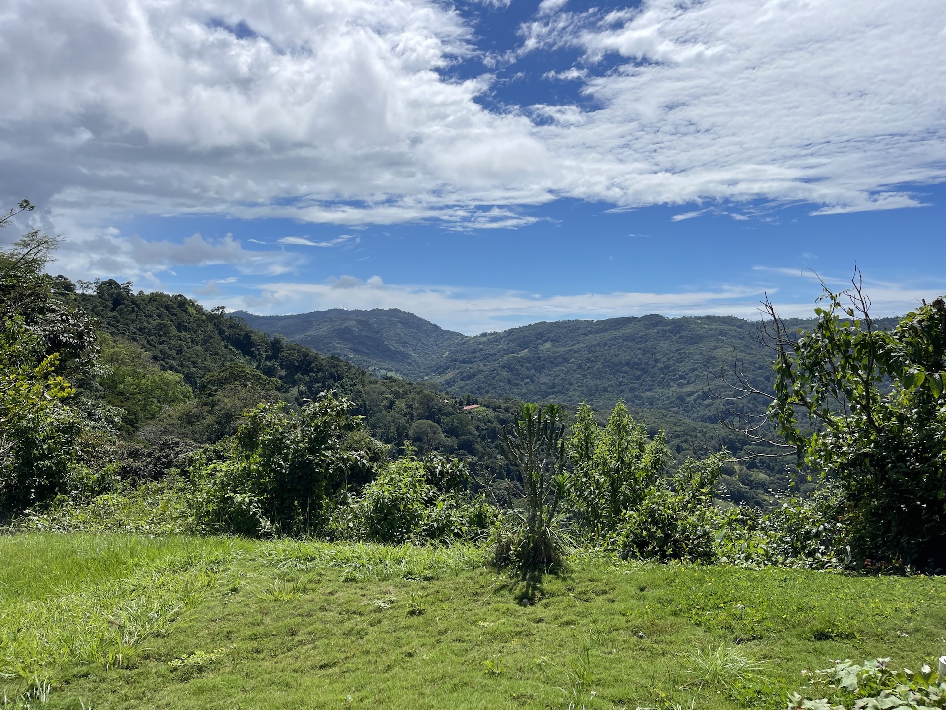 MOUNTAIN PROPERTY WITH A GUEST HOUSE, IN PLATANILLO – 5.2 ACRES