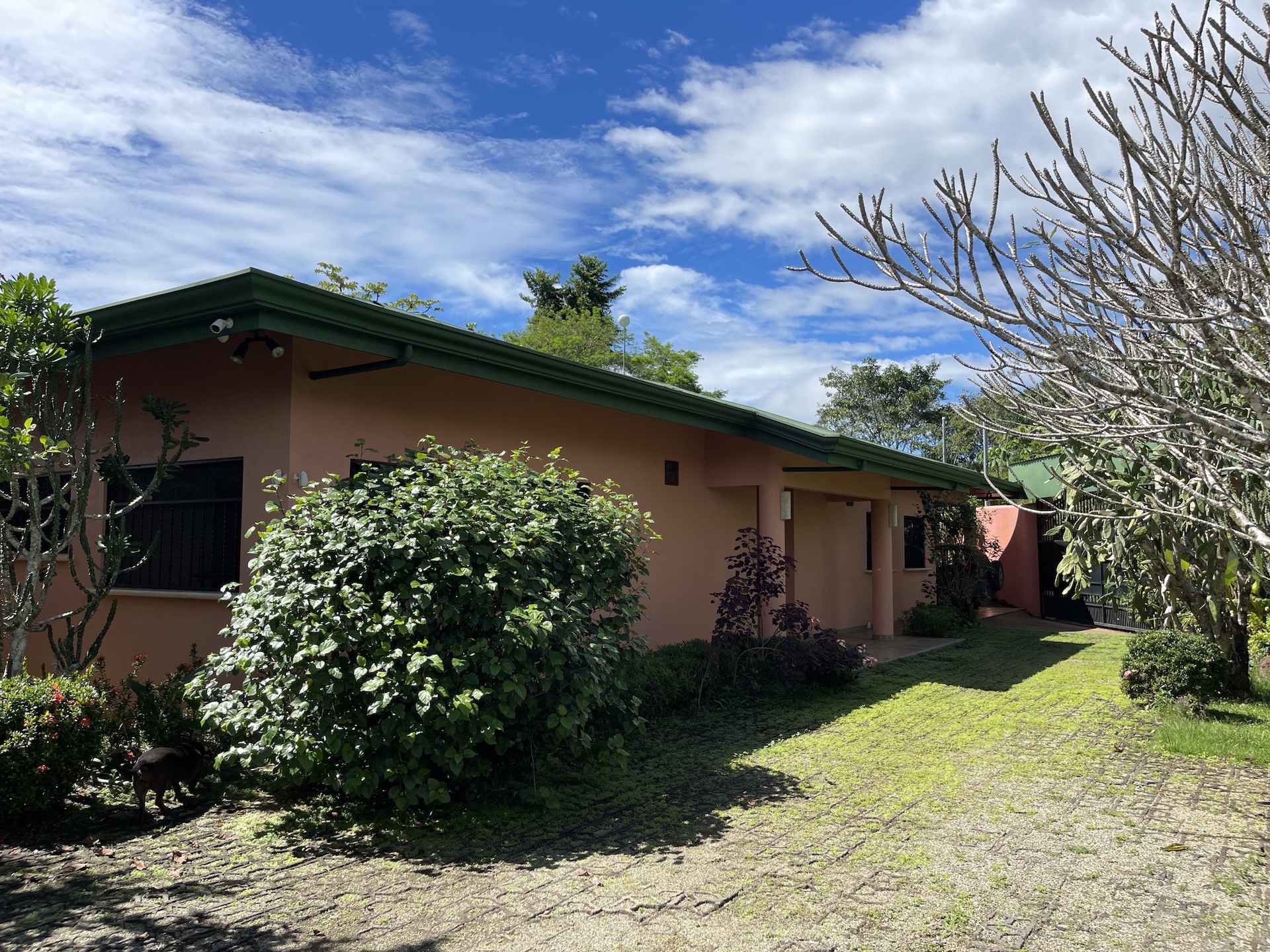 MOUNTAIN PROPERTY WITH A GUEST HOUSE, IN PLATANILLO – 5.2 ACRES