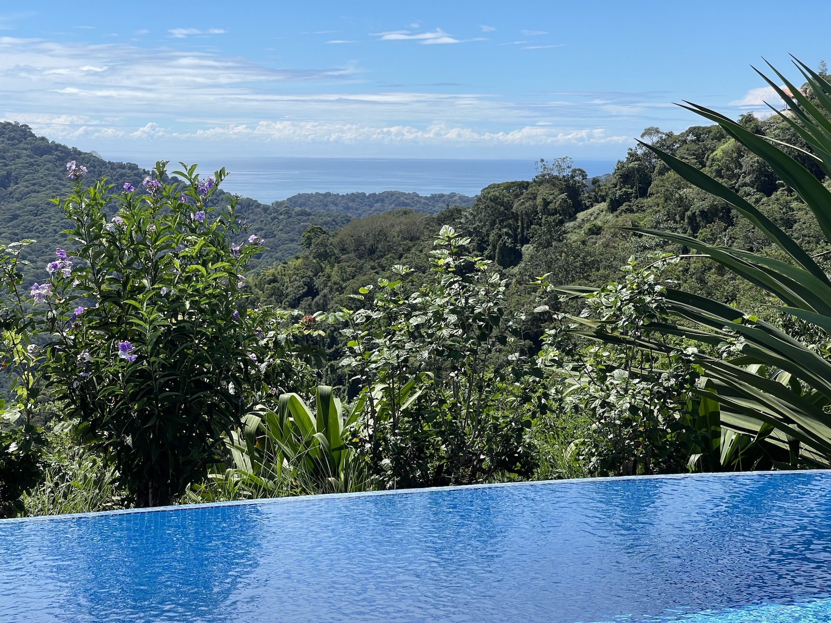 MOUNTAIN PROPERTY WITH A GUEST HOUSE, IN PLATANILLO – 5.2 ACRES