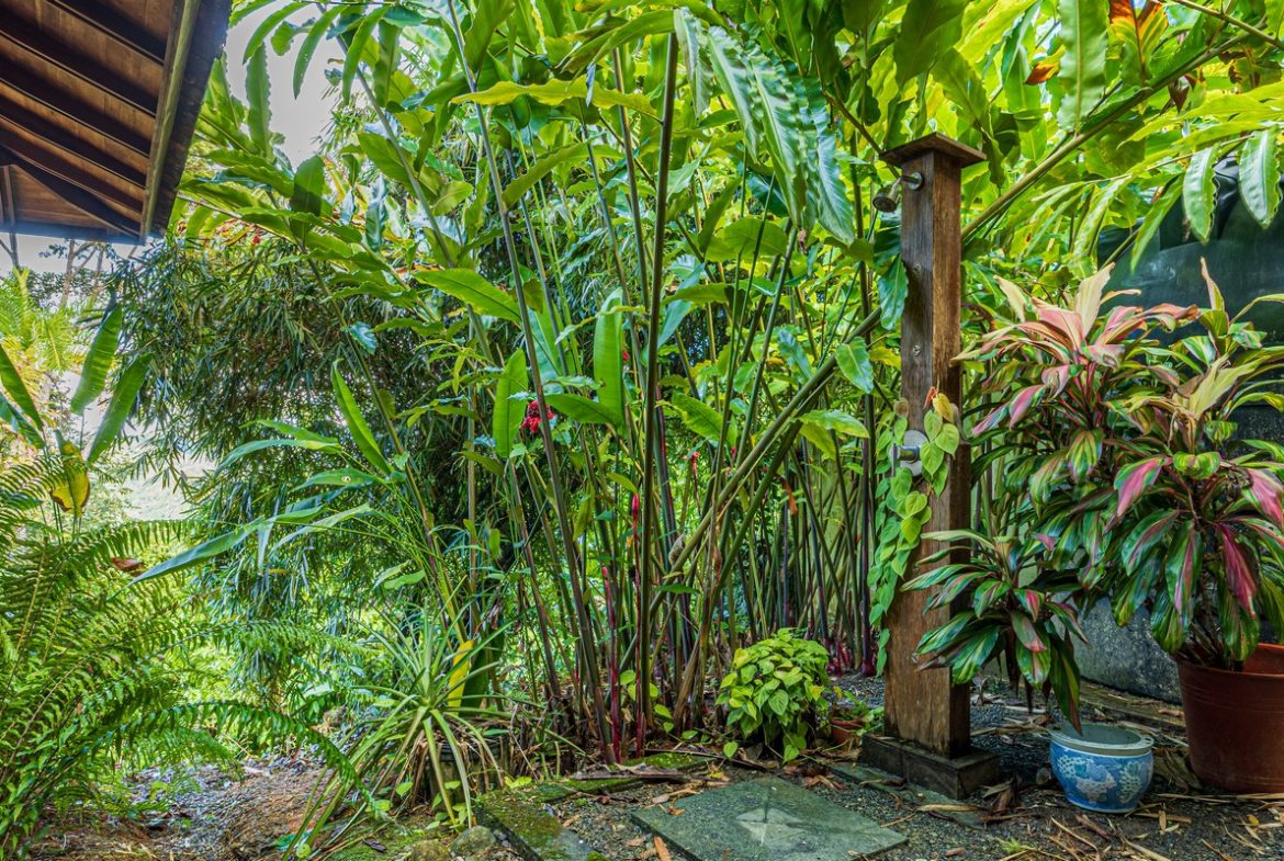 PROPERTY WITH TWO BEDROOMS IN THE MOUNTAIN, IN HATILLO – 1.37 ACRES