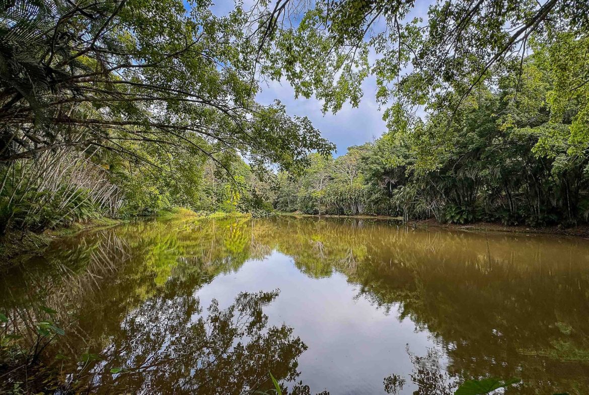 5 BEDROOM PLUS GUEST HOUSE IN BEJUCO NEAR PARRITA – 2.97 ACRES
