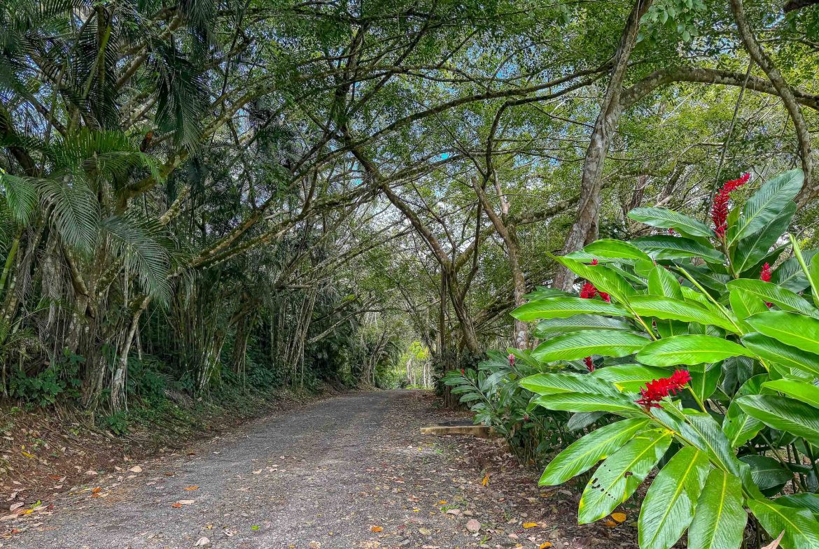 5 BEDROOM PLUS GUEST HOUSE IN BEJUCO NEAR PARRITA – 2.97 ACRES