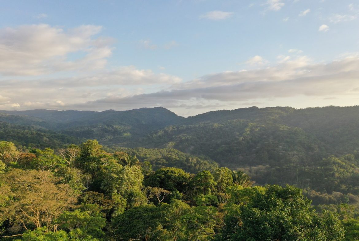 MOUNTAIN PROPERTY WITH A PARTIAL OCEAN VIEWS, IN PLATANILLO – 2.6 ACRES
