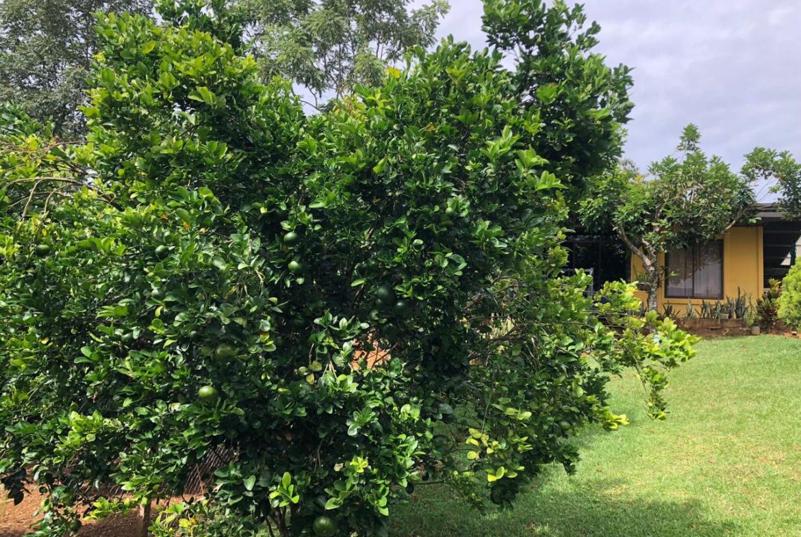 AFFORDABLE AND BEAUTIFUL CHIRRIPO VIEW 2-BEDROOM HOME IN MIRAVALLES ON 0.15 ACRES