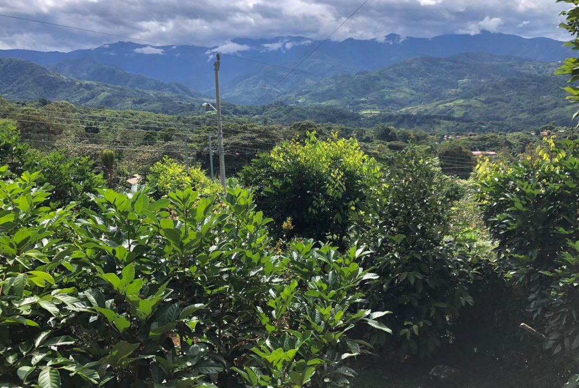 AFFORDABLE AND BEAUTIFUL CHIRRIPO VIEW 2-BEDROOM HOME IN MIRAVALLES ON 0.15 ACRES, Uvita, Costa Rica — photo 8