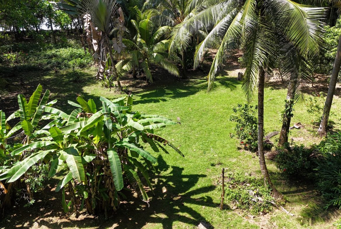 Rare Beachfront Lot Privately Located in Ballena Beach
